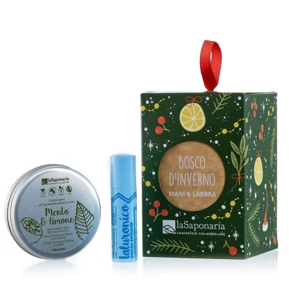 Lanterna Bosco d'inverno